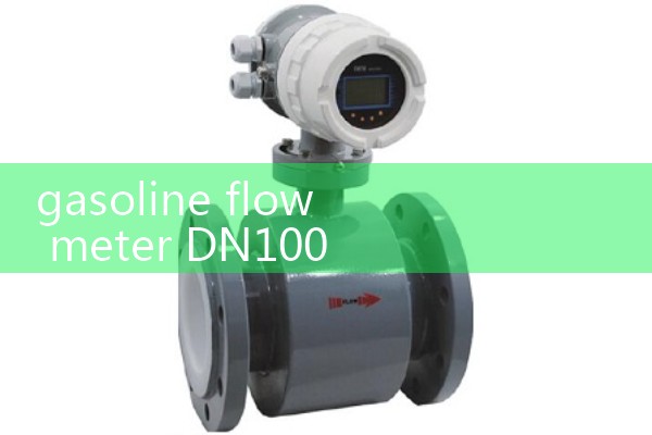 gasoline flow meter DN100